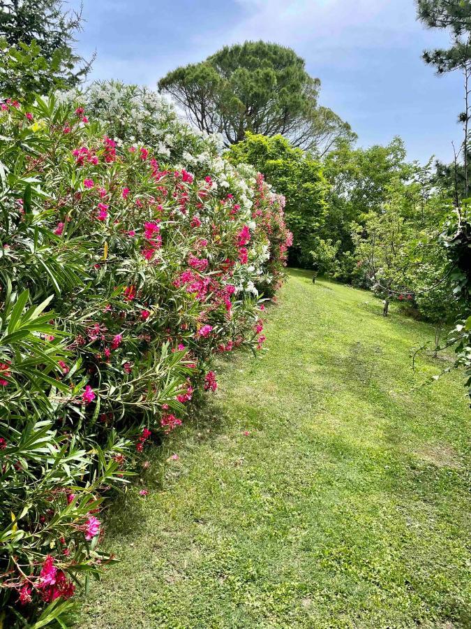 Gites Au Chateau Des Estubiers Les Granges-Gontardes Kültér fotó